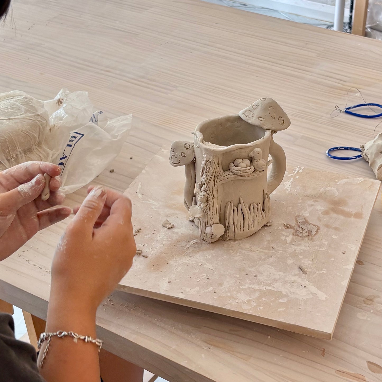 6 Week After School Pottery Program